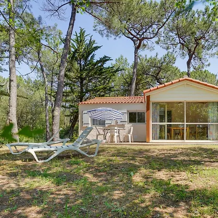 Gorgeous In La Faute-sur-Mer